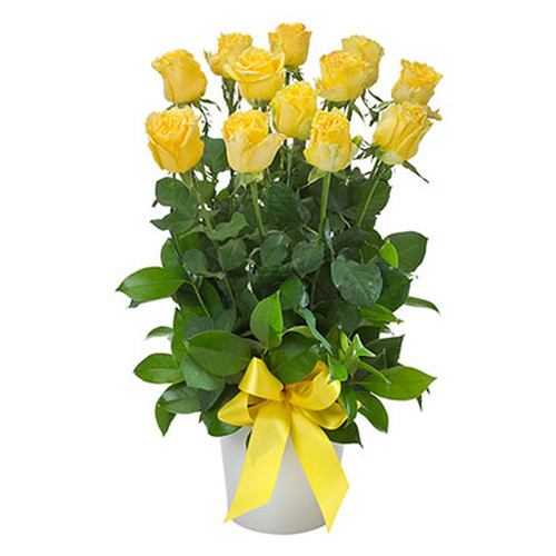 Arrangement of 12 Yellow Roses in a Ceramic Pot