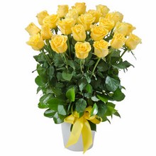 Arrangement of 24 Yellow Roses in a Ceramic Pot