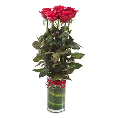 Vase with 6 Red Roses