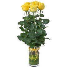 Vase with 6 Yellow Roses