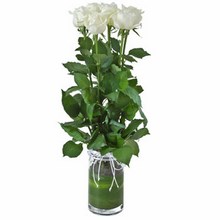 Vase with 6 White Roses