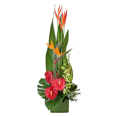 Large Tropical Arrangement in a Ceramic Container