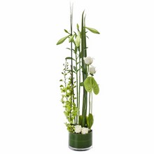 Modern Arrangement in a Low Glass Vase