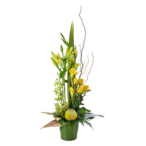 Large Designer Arrangement