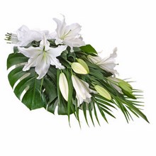 Elegant Sheaf of Oriental Lilies