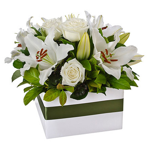 Mixed Box Arrangement Suitable for Home