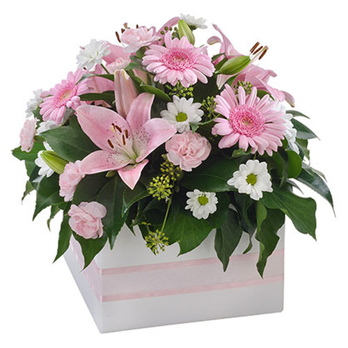 Mixed Box Arrangement Suitable for Home