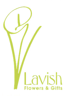 logo-trans logo-trans