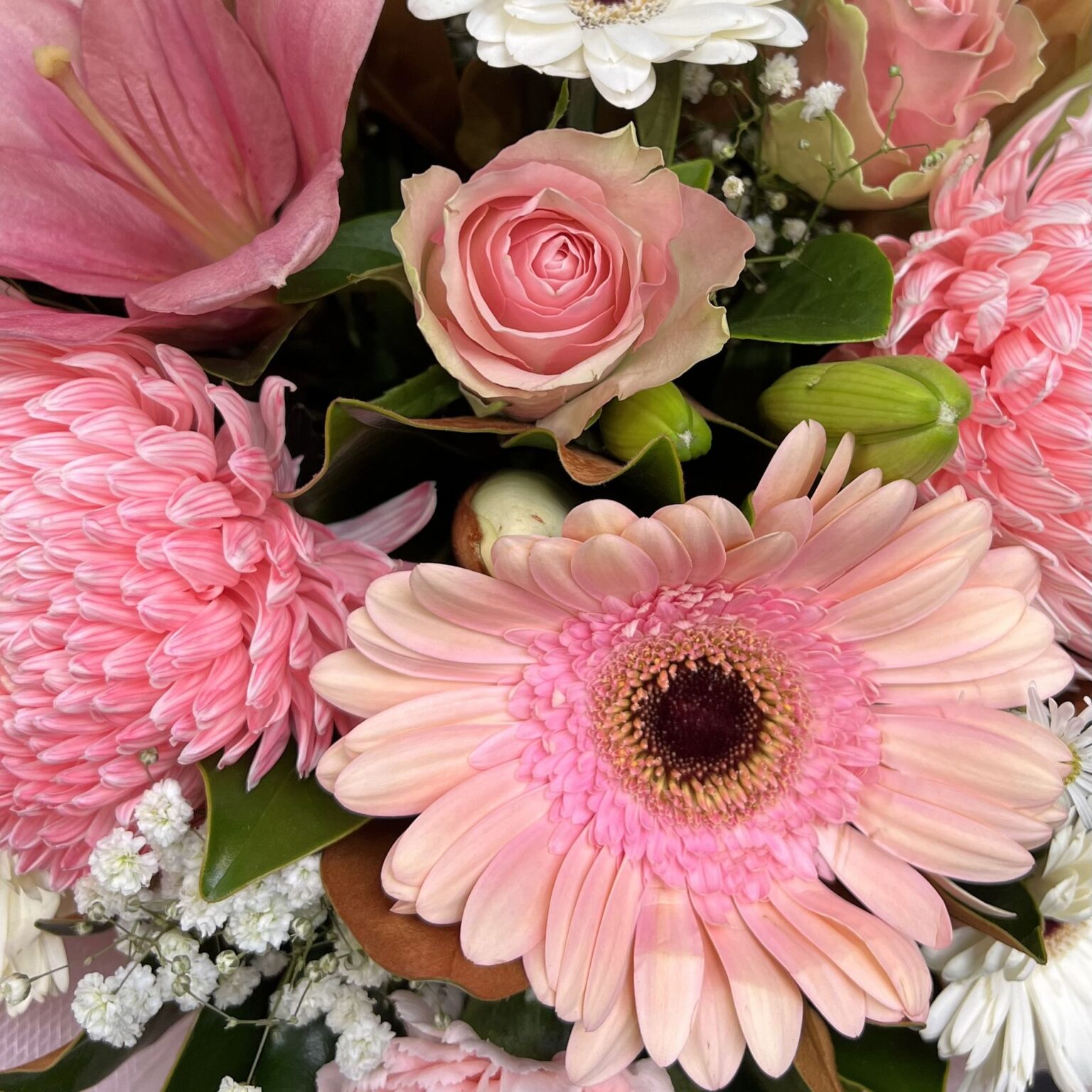 Lavish Flowers Online The John Hunter Hospital Florist